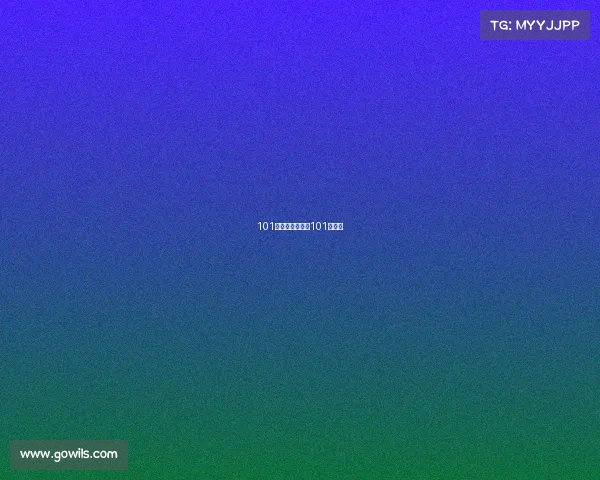 101赛事是比什么、101竞赛班