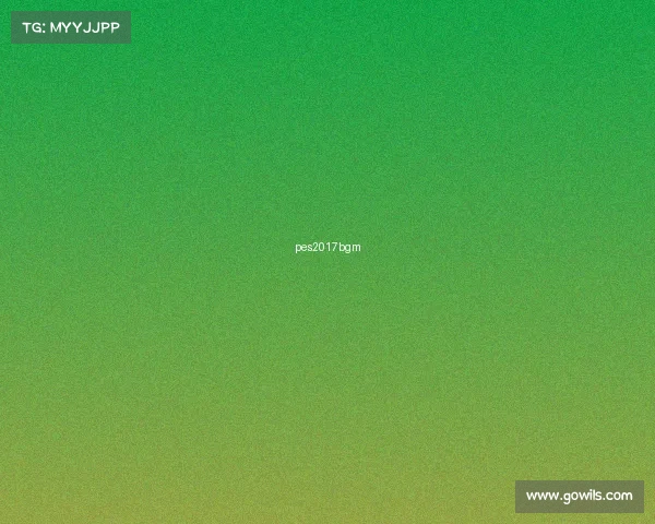 pes2017bgm pes2017bgm